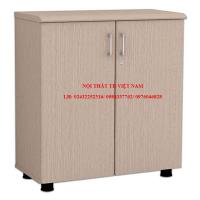 Tủ tài liệu NT880DN