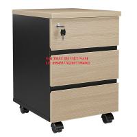 Hộc tài liệu LEM3D